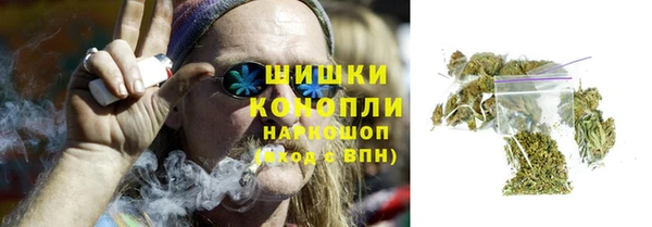 PSILOCYBIN Богородицк